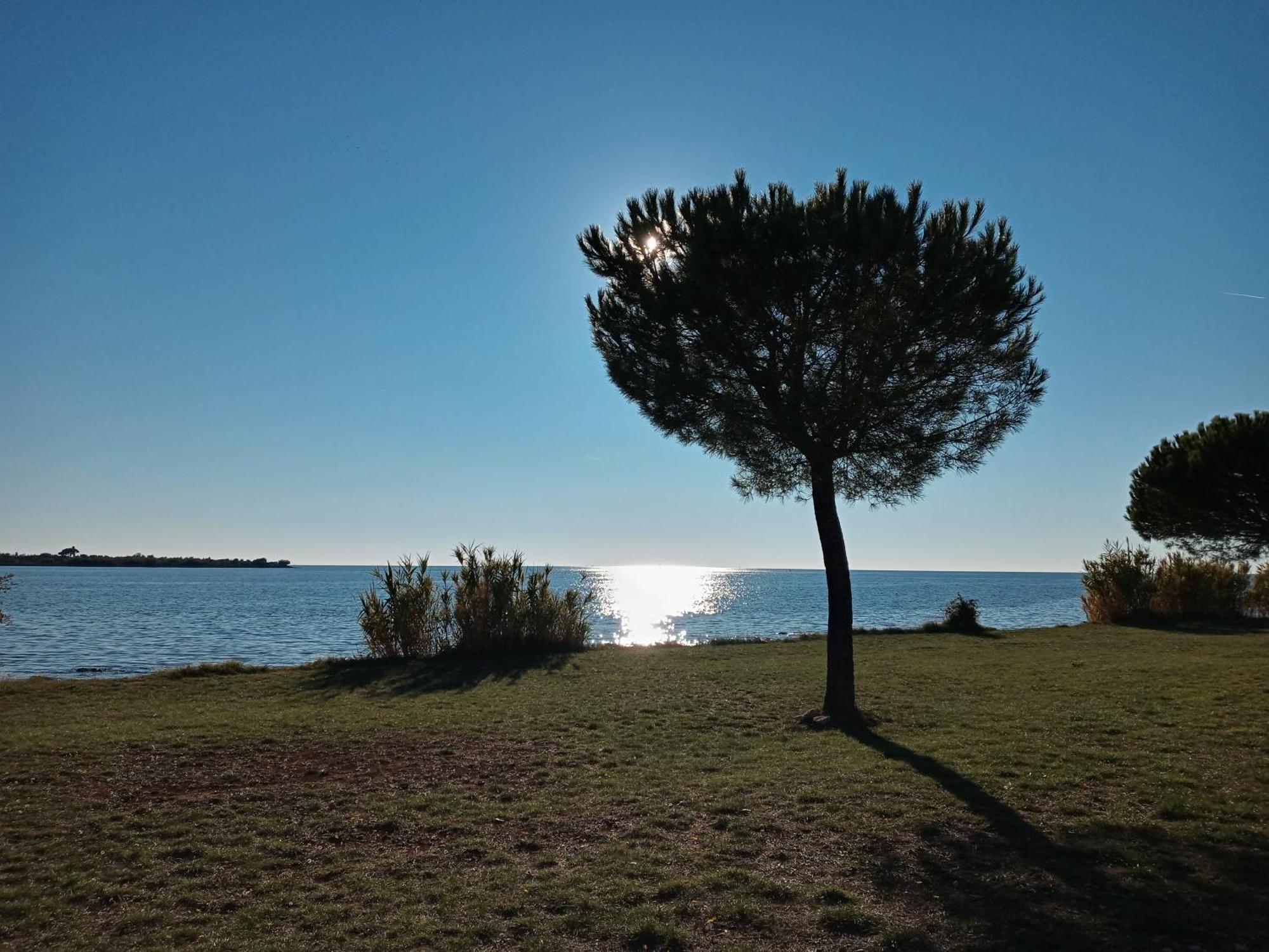 Sole 1 Daire Novigrad Istria Dış mekan fotoğraf