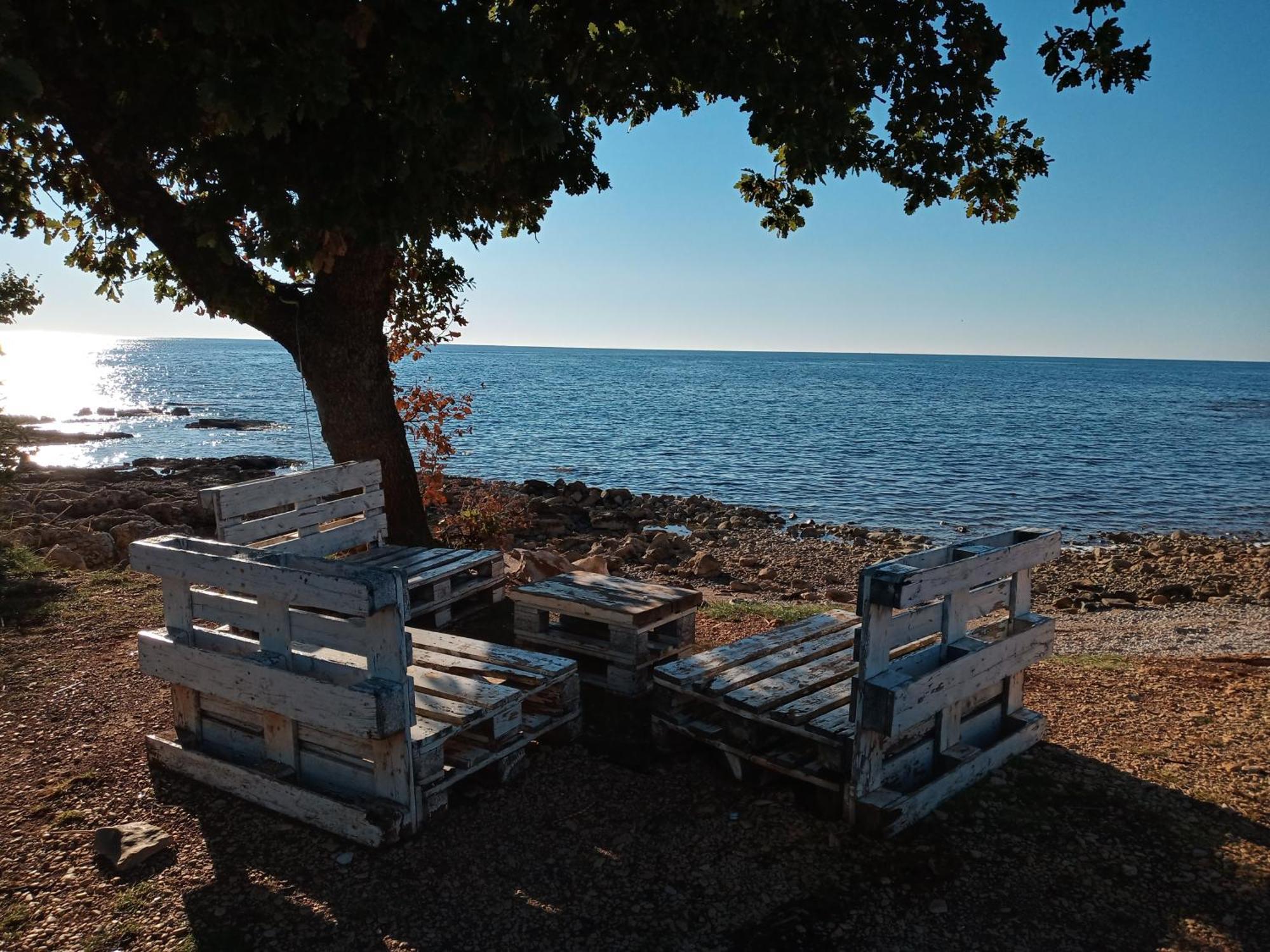 Sole 1 Daire Novigrad Istria Dış mekan fotoğraf