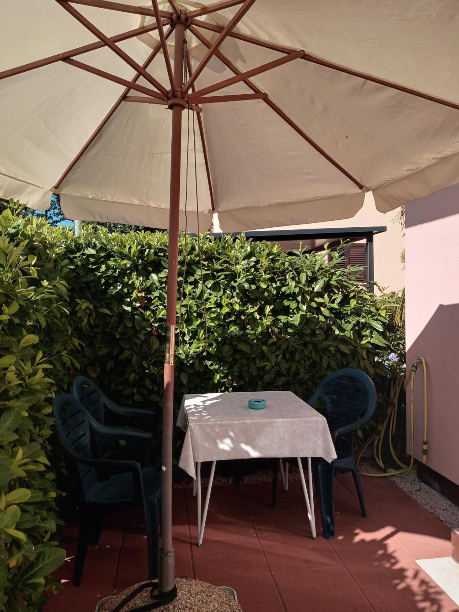 Sole 1 Daire Novigrad Istria Dış mekan fotoğraf