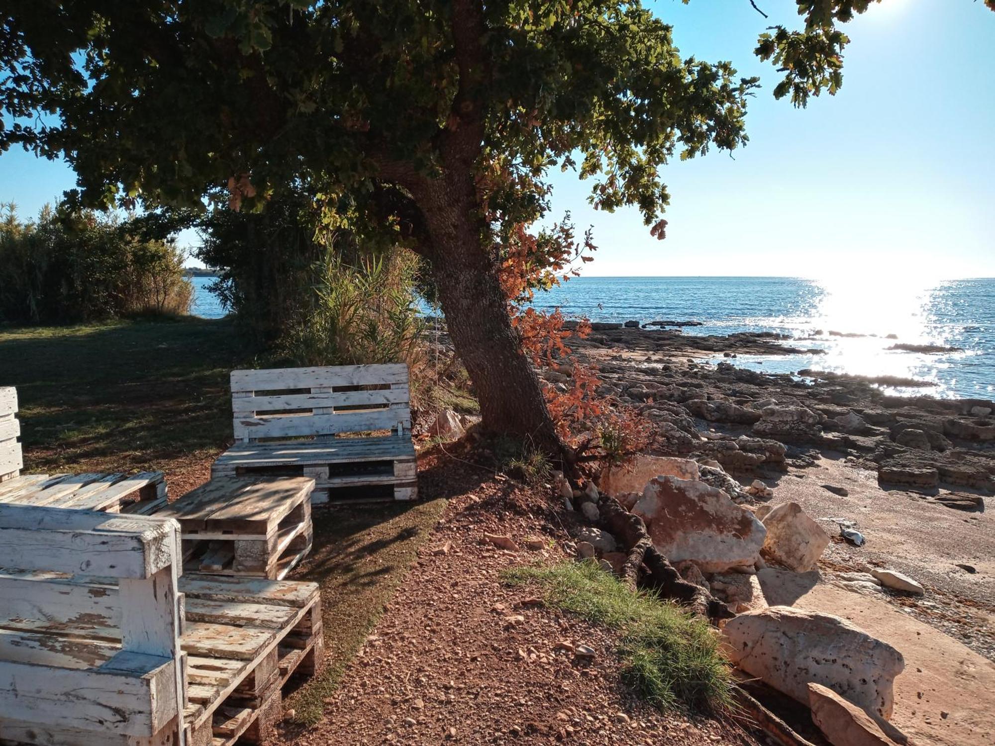 Sole 1 Daire Novigrad Istria Dış mekan fotoğraf