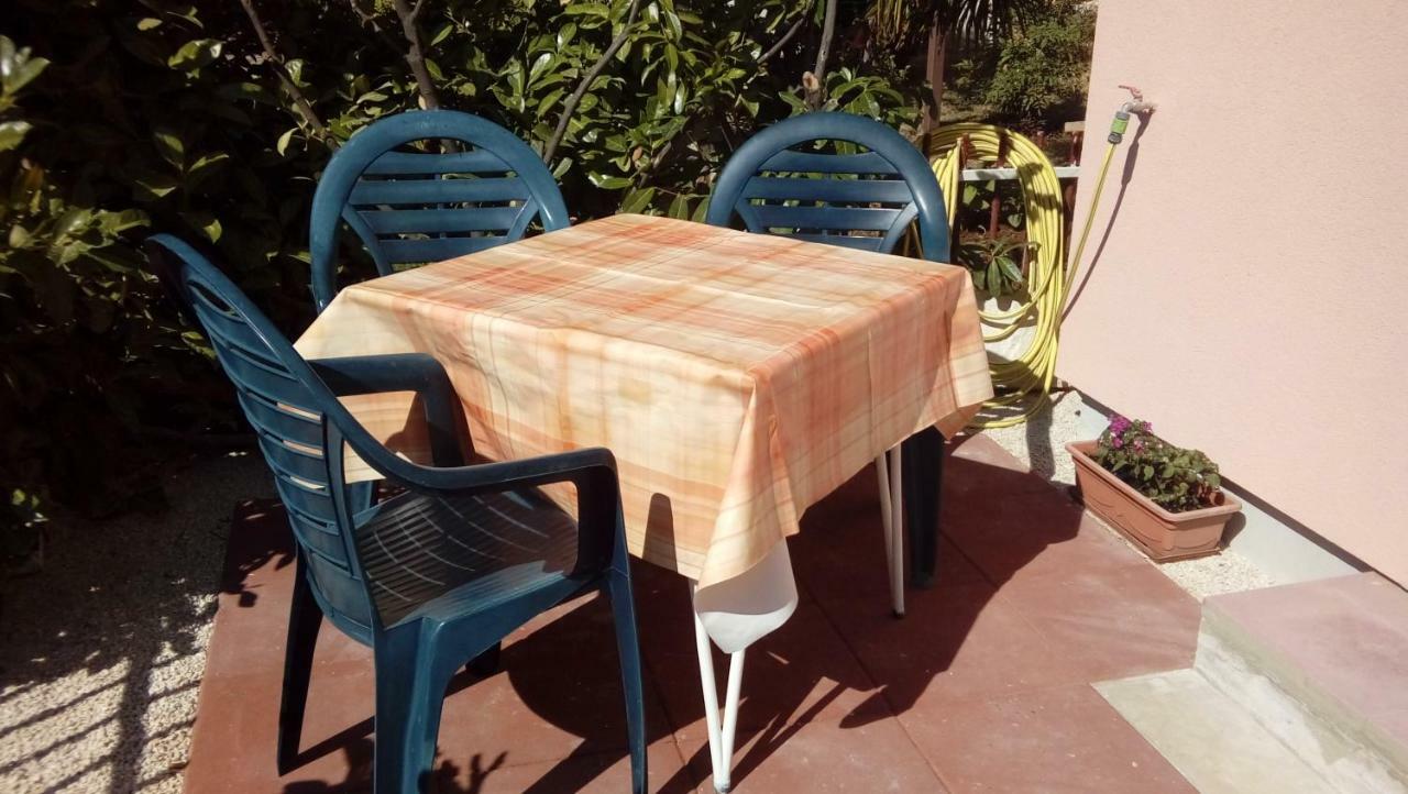 Sole 1 Daire Novigrad Istria Dış mekan fotoğraf